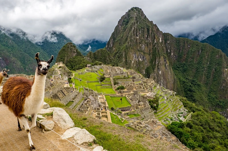 From Cusco to Machu Picchu: Planning the Perfect Day Trip