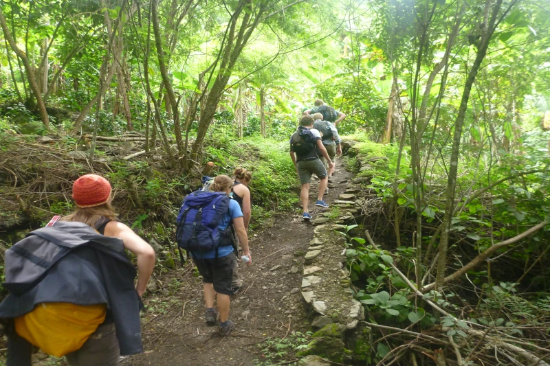 Inca Jungle Trek for Beginners: How to Prepare