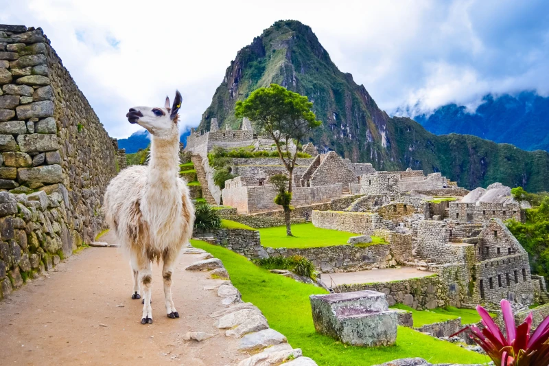 Machu Picchu Tickets: How to Purchase and Plan Your Visit