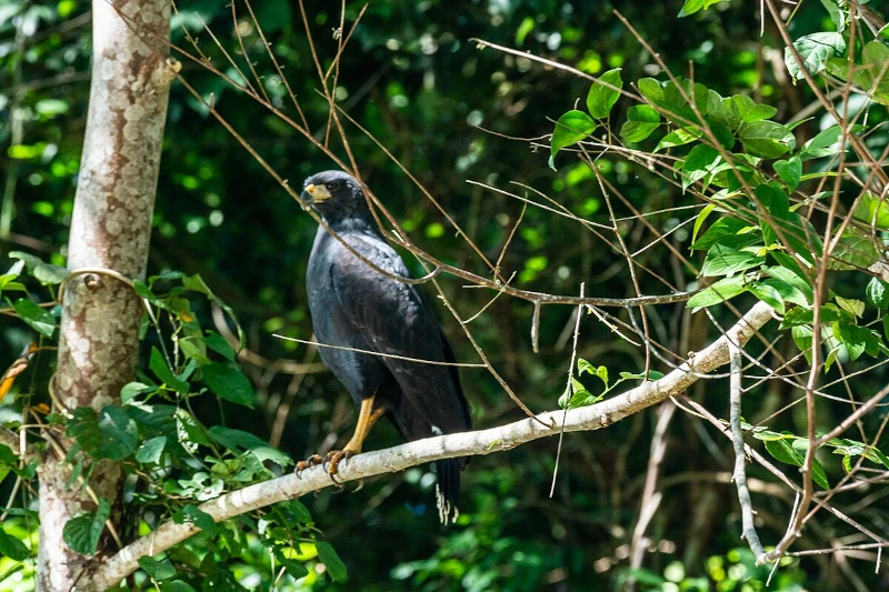 Peru Peak Season: Planning Your Journey