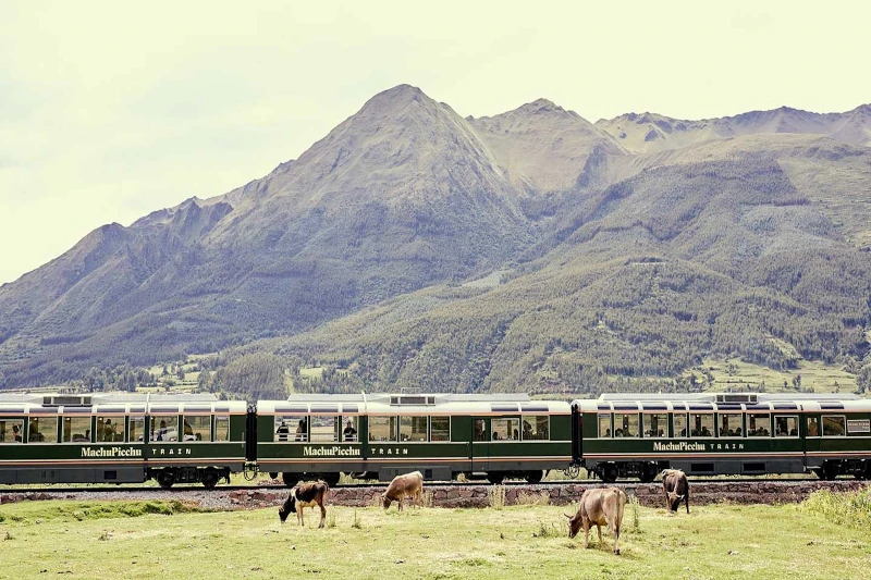 Machu Picchu by Train: Scenic Travel Packages