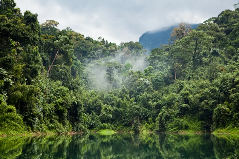 Peru in the Rainy Season of 2024